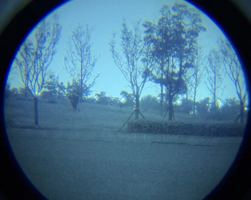 White phosphor night vision image showing trees and a pathway