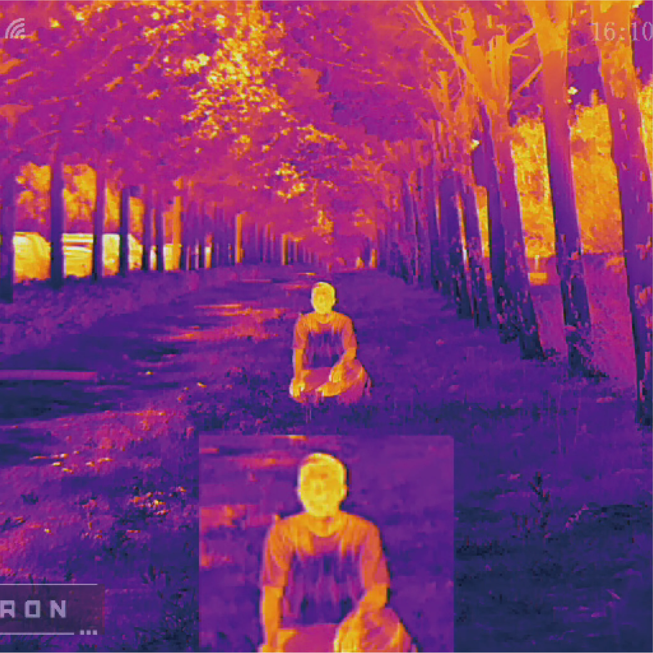 ELF-MU thermal imaging sample in Iron